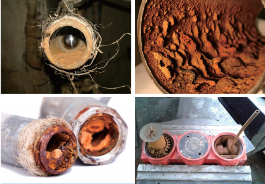 mg不朽情缘(中国区)官方网站